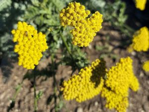 wp-1747271329822837802581873527634