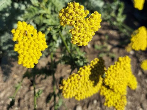 wp-1747271329822837802581873527634