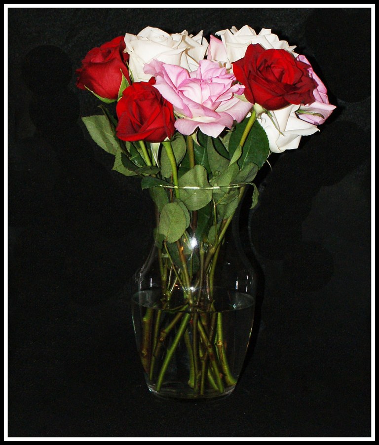 Roses for my Valentine.jpg