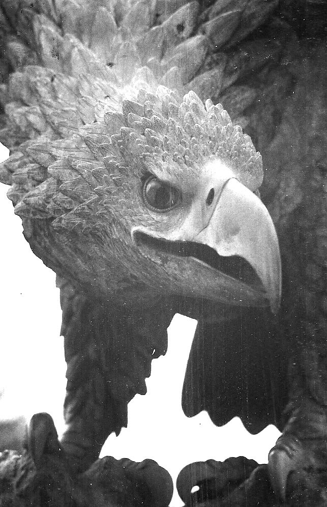 SUDDENLY THE AMERICAN EAGLE IS BECOMING THE FEDERAL MONSTER....jpg