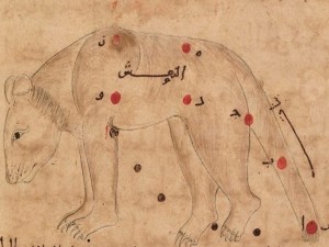 Book of the Fixed Stars Auv0043 ursa minor cropped.jpg