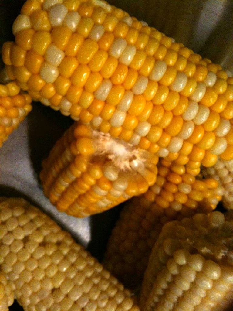 Corn on the Cob.jpg