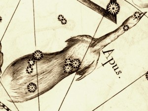 Apus constellation map.svg