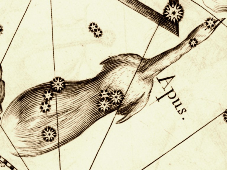 Apus constellation map.svg