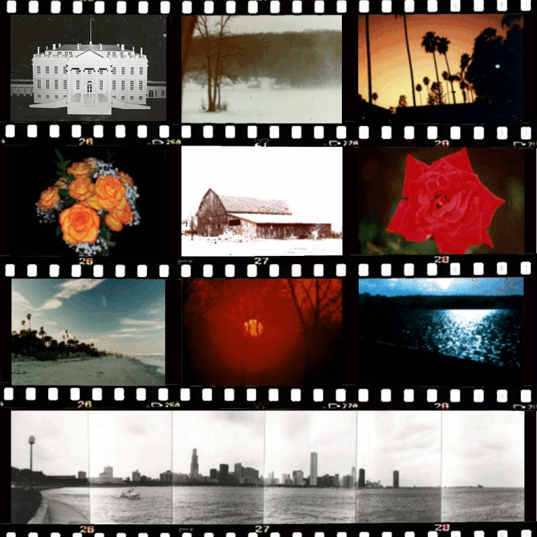 Winning Photos Nature Photography Day '25.jpg