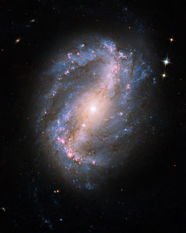 Incredible new Hubble pix: Barred Spiral Galaxy NGC 6217.jpg