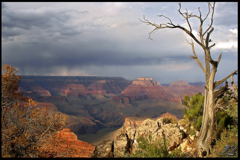 Grand Canyon 1.jpg