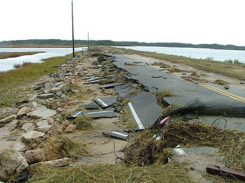 Hurricane damage at Chincoteague National Wildlife Refuge (VA).jpg