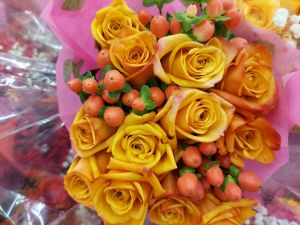 wp-17493261492166818286822412344184