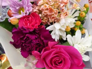 wp-17493261495095562515600214038426