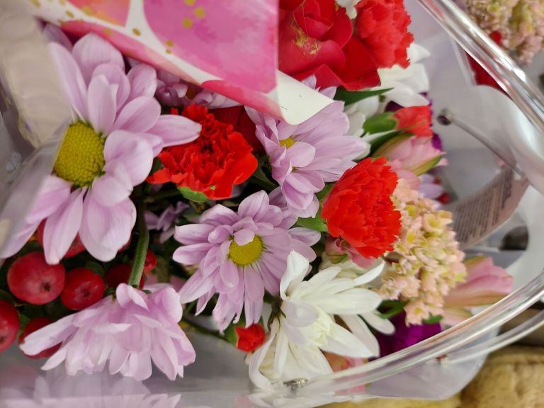 wp-17493261497622841314368104768193