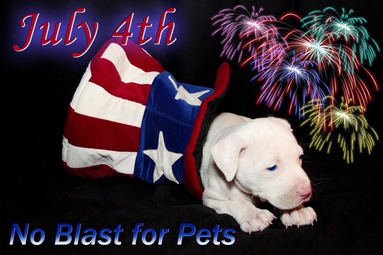 July 4th Fireworks, NO Blast for Pets, Keep them Safe.jpg