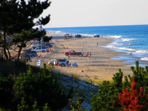 Fort Miles - Cape Henlopen State Park.jpg