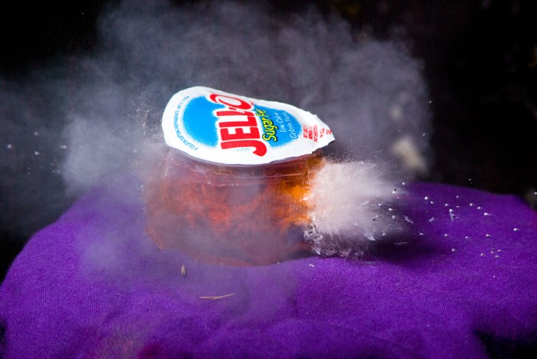 Birdshot + jello.jpg