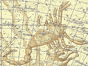 Constellations of the Month: July – Scorpius