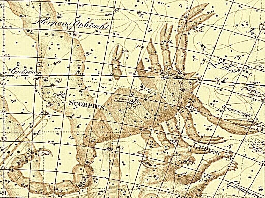[Scorpius].jpg