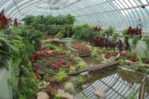 Phipps Conservatory and Botanical Gardens.jpg