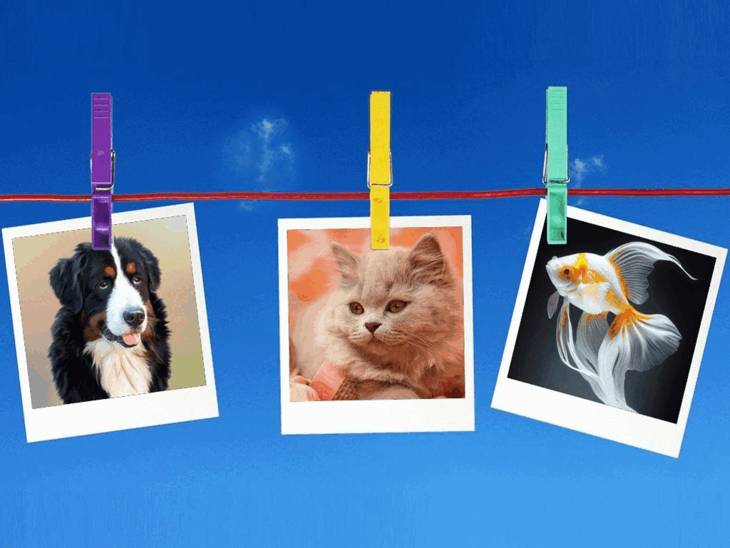 All American Pet Photo Day – 2025