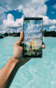 Seven Hundred Beachfront__6K0lBnE9zi7J.png