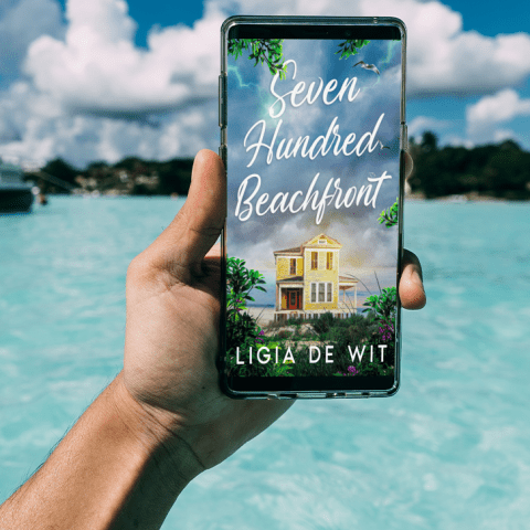 Seven Hundred Beachfront__6K0lBnE9zi7J.png