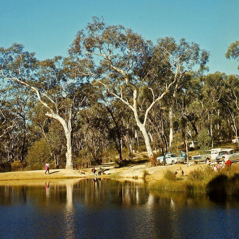 Ingar Picnic Area 1968.jpg