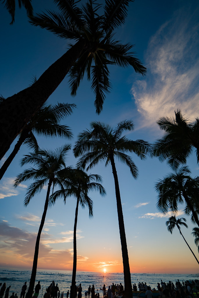 Hawaiian Vacation.jpg