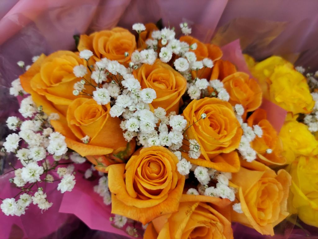 Featured Photo: Flower Bouquet Photo of the Day – The 2nd Week of July ’25