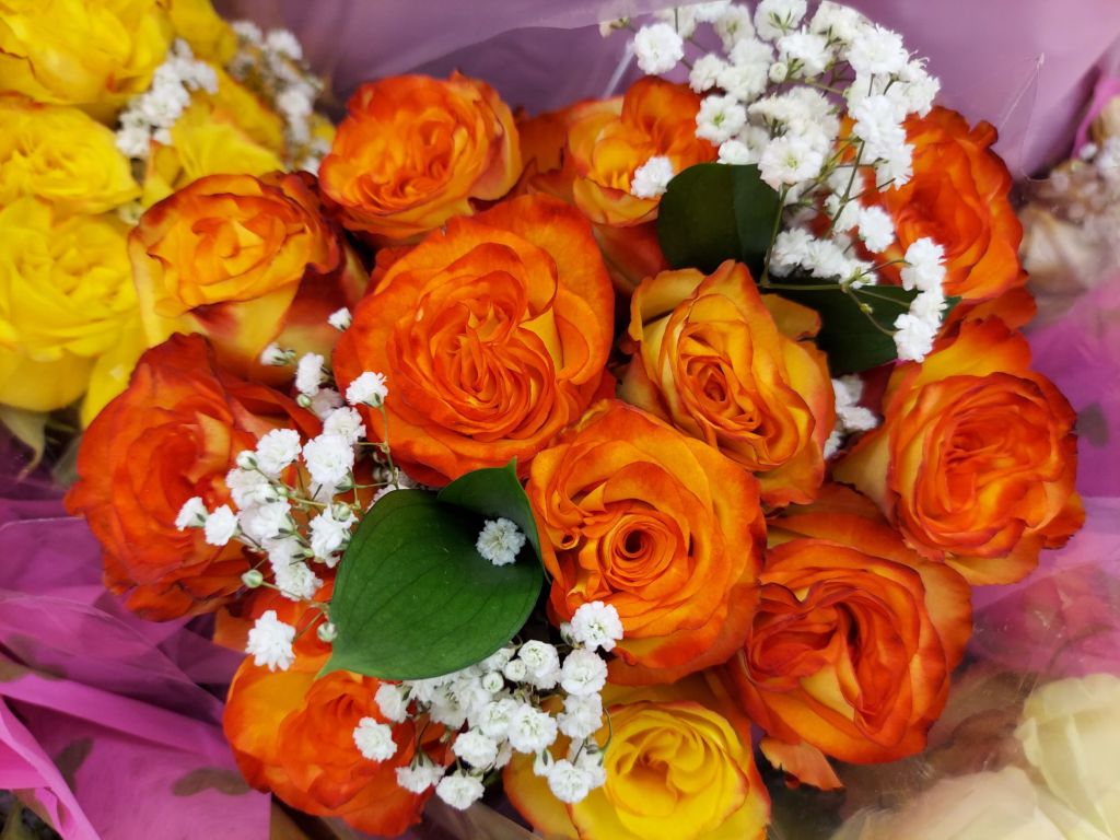 Featured Photo: Flower Bouquet Photo of the Day – The 3rd Week of July ’25