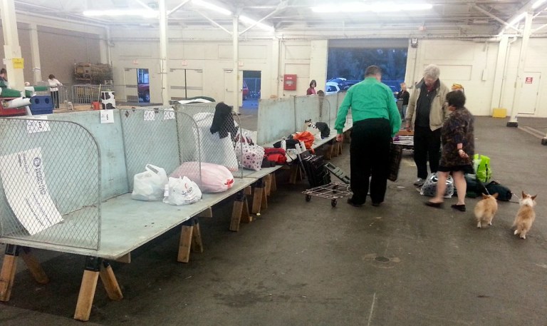 2014 Golden Gate Kennel Club dog show.jpg