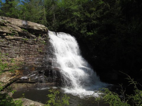 Swallow Falls State Park - Maryland.jpg