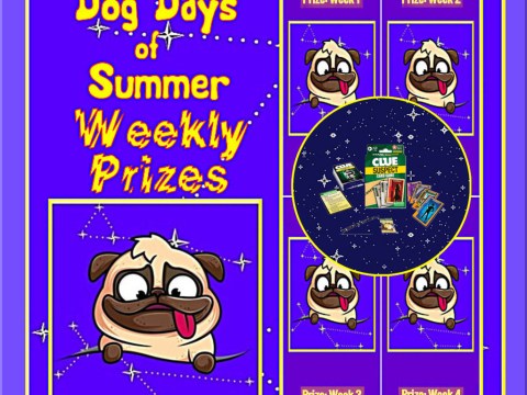 Clue® Suspect Card Game Winning Moves Games__Dog Days '25__BUTTON.jpg