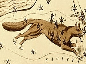 Sidney Hall&rsquo;s (1831) astronomical chart illustration of Vulpecula and Anser. Original from Library of Congress. Digitally enhanced by rawpixel..jpg