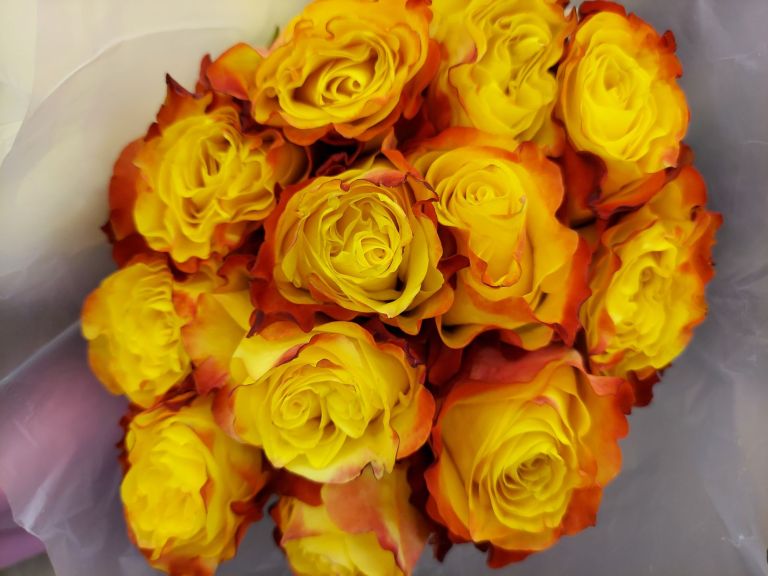 Featured Photo: Flower Bouquet Photo of the Day – The 3rd Week of August ’25