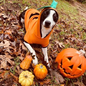 20241203__Houston TX__UFEwLGZNBb9j-IMG_0421.jpeg