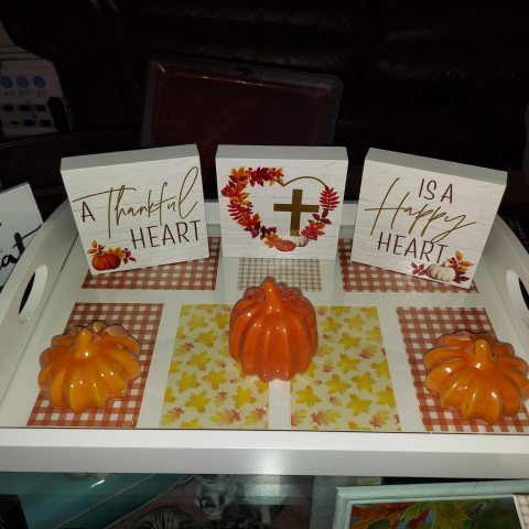 20250223__Palm Bay, FL__yFxrjEPOO15N-fall-tray-2.jpg