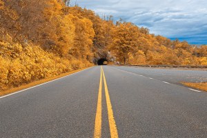 Shenandoah Skyline Drive - Autumn Gold.jpg