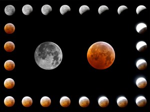 Total Lunar Eclipse, December 21 2010.jpg