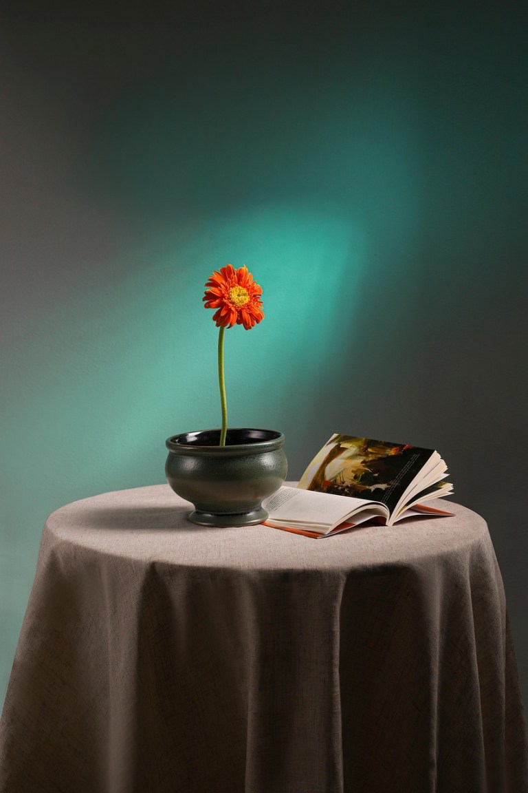 flowers, decor, gerbera, vase, nature, flower vase, flower background, flower wallpaper, interior design, beautiful flowers, book.jpg