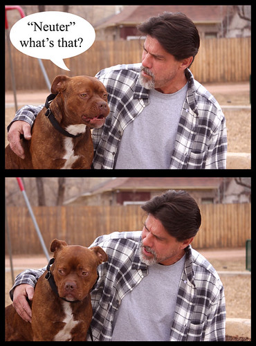 Father and Son talk about the Birds and the Bees.....jpg