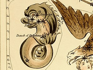 Sidney Hall&rsquo;s (1831) astronomical chart illustration of the Delphinus, Sagitta, Aquila, and the Antinous. Original from Library of Congress. Digitally enhanced by rawpixel..jpg