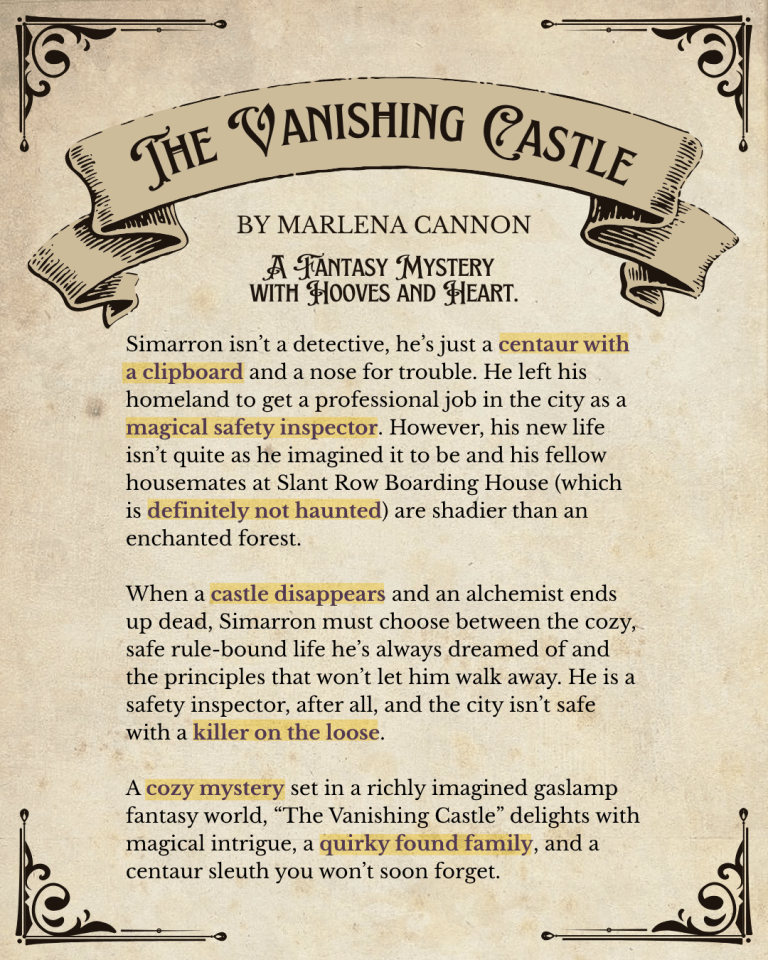 The Vanishing Castle Book Blurb.phn