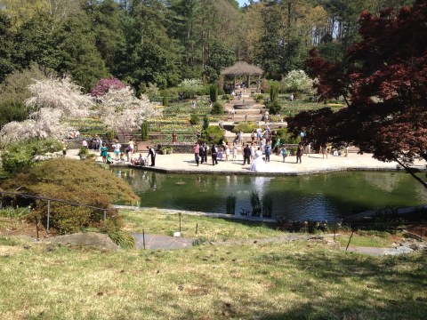 Sarah P. Duke Gardens, April 2014, Durham, North Carolina.jpg