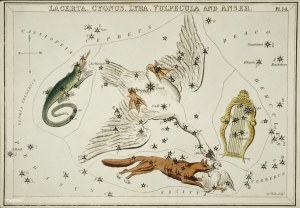 Sidney Hall&rsquo;s (1831) astronomical chart illustration of the Lacerta, Cygnus, Lyra, Vulpecula and the Anser. Original from Library of Congress. Digitally enhanced by rawpixel..jpg