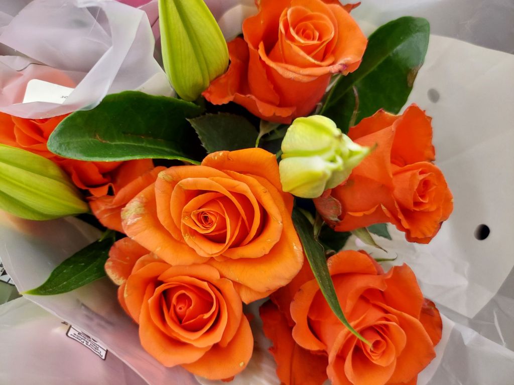 Featured Photo: Flower Bouquet Photo of the Day – The 3rd Week of September ’25