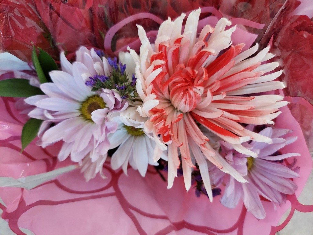 Featured Photo: Flower Bouquet Photo of the Day – First Week in October ’25