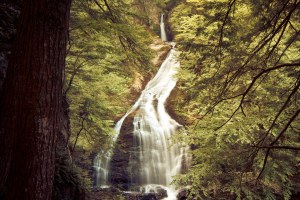 Moss Glen Falls.jpg
