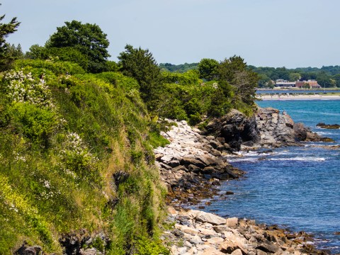 Cliff Walk, Newport, RI - 51291460465.jpg