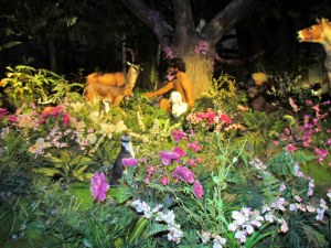 Creation Museum - Kentucky.jpg