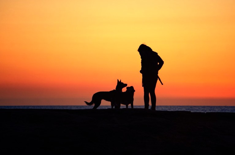 Man's best friend.jpg