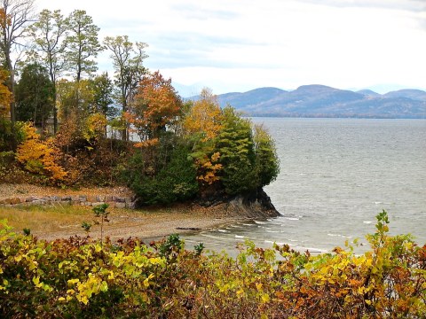 lake.champlain • shoreline.jpg